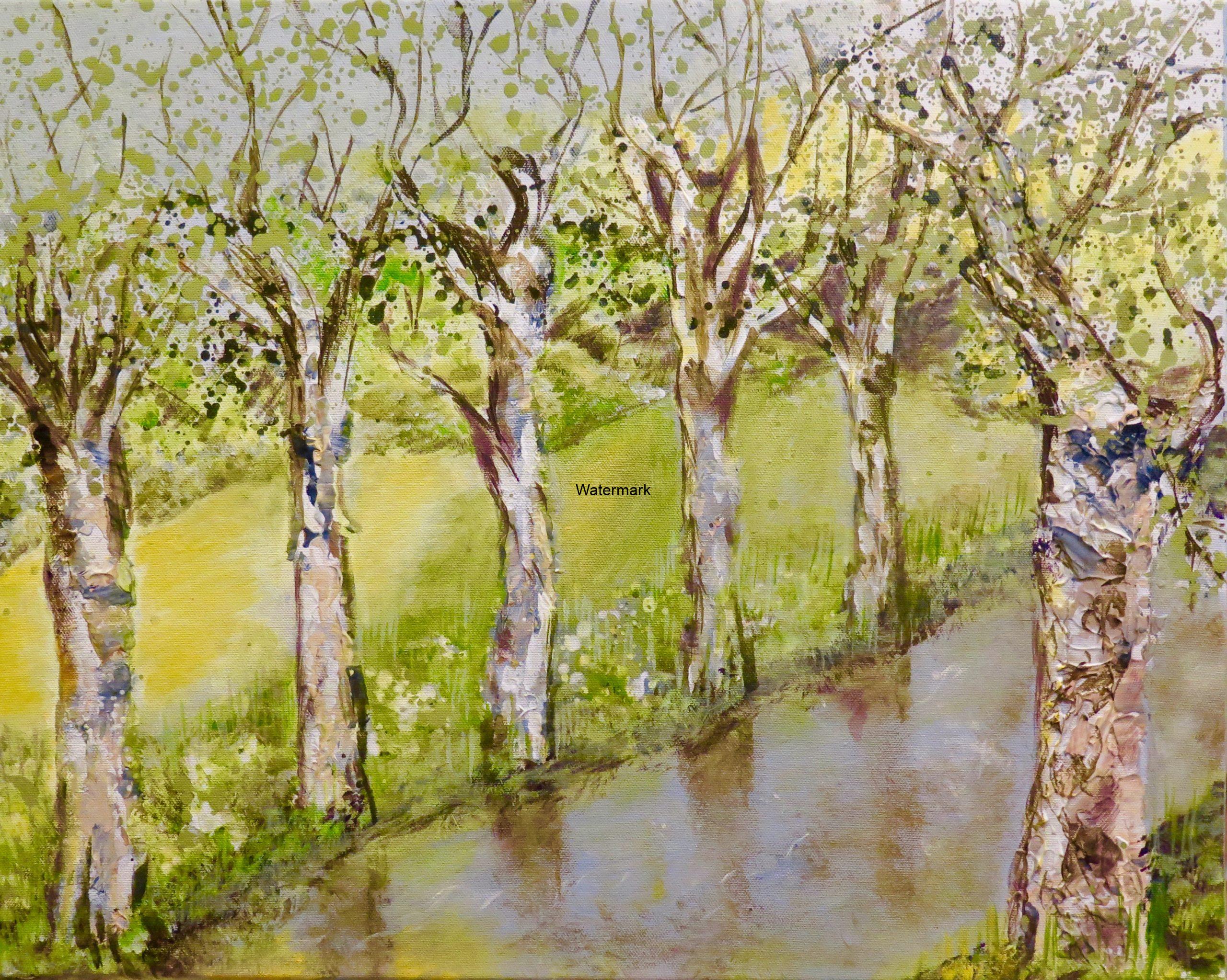 Trees along river-1