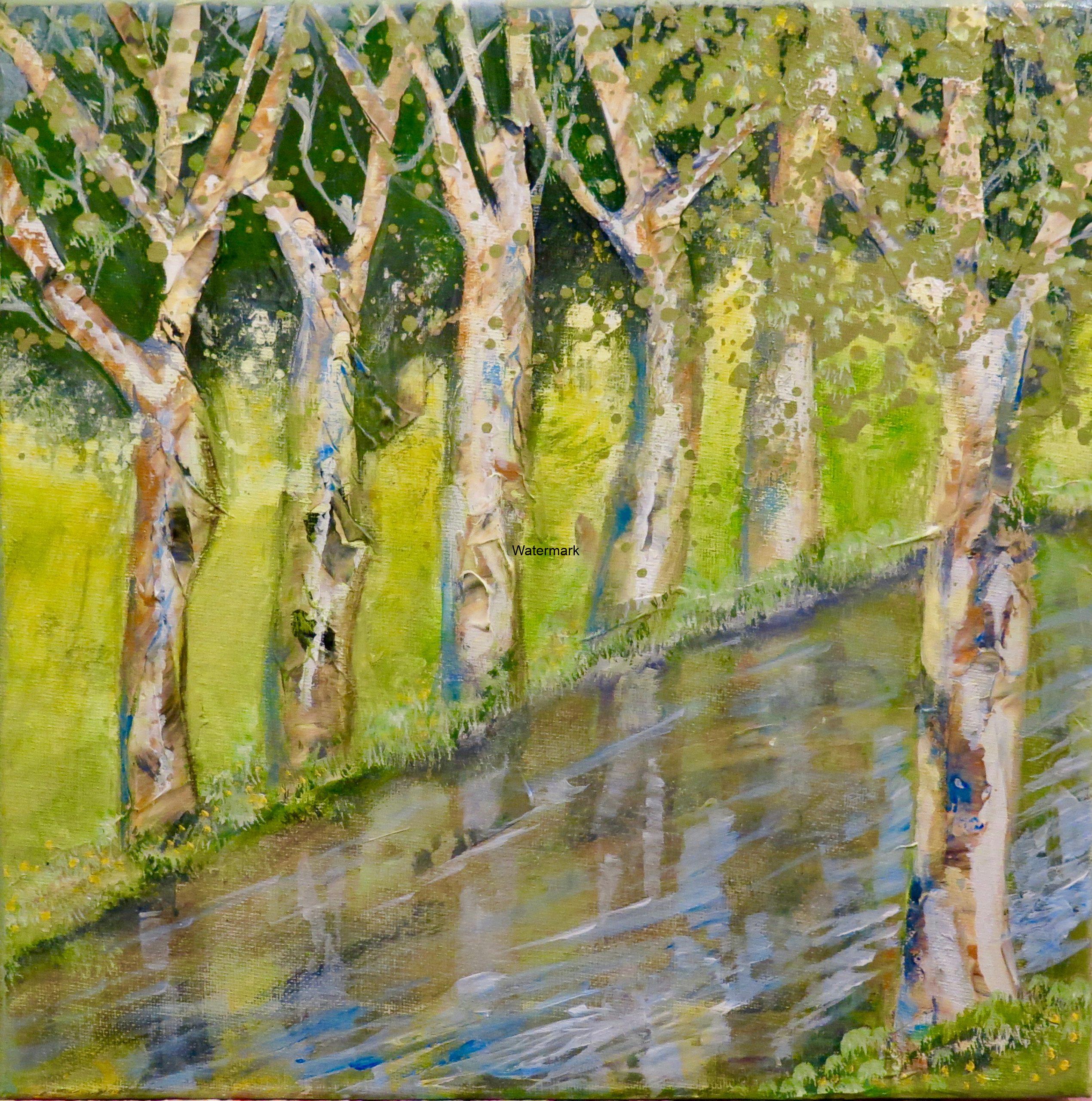 Trees along river-2